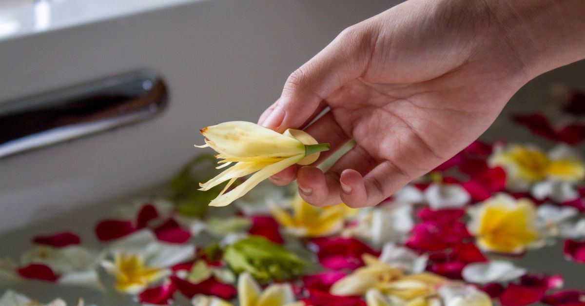A hand holding a frangipani flower over a petal-filled flower bath at a Balinese spa in Ubud